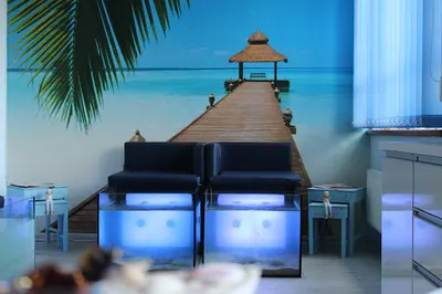 Fish SPA Happy Feet